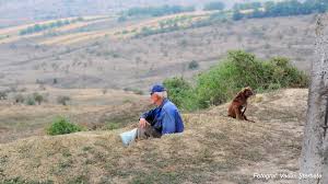 Fiți cu ochii în patru. Fotografia Zilei Cu Ochii In Patru Observatorul De Nord