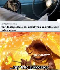 Florida Dog Florida Man Know Your Meme