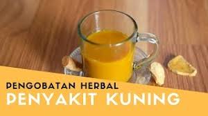 Maybe you would like to learn more about one of these? Solusi Pengobatan Herbal Untuk Penyakit Kuning Treatment Of Jaundice Youtube