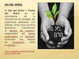 Dia del arbol no es como otras fiestas. Dia Del Arbol