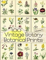 Mark catesby was an english naturalist. 100 Vintage Botany Botanical Prints Volume 2 Floral Ephemera Series Anders C 9781071101742 Amazon Com Books