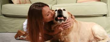 Our pet sitters are bonded and insured. Time For A Walk Services And Fees