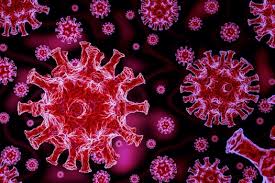 Confirmed cases, resolved, in hospital, deceased and not in hospital. New Zealand Says Coronavirus Eliminated