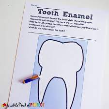 2 white ice cube trays, dry erase marker, craft. Learning About Teeth Brush Clean Activity