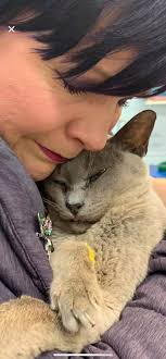 Losing a beloved cat after 15 years of love and companionship