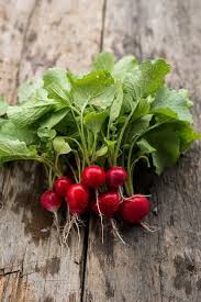 Vegetables Pictures Vegetables Pictures Gemusebilder Photos De Legumes Imagenes De Verduras Vegeta In 2020 Gefulltes Gemuse Obst Und Gemuse Exotische Fruchte