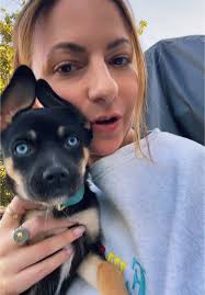 stitch with @Molly🧚‍♀️ boop, got a puppy 🩵 and she's the goodest gi...