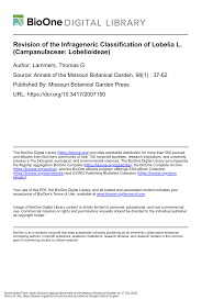 Image result for Lobelia welwitschii