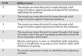 Muscle Power Grading Bone And Spine