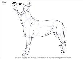 Learn How To Draw A Pit Bull Dog Dogs Step By Step Drawing Tutorials You just need a pen and a paper. learn how to draw a pit bull dog dogs