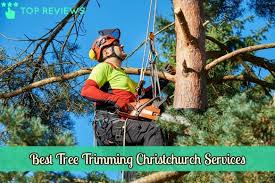 All i can say is they were outstanding!!!very professional and did a beautiful job. The 5 Best Tree Trimming Christchurch Services 2021