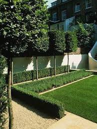 The Laurel Hedge The Giubbilei Look Garden Hedges Outdoor Landscaping Garden Design