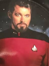 The Hamilton Collection Commander William T Riker Star Trek Plate  Collection