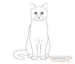 Art time classes cat sitting. How To Draw A Cat Step By Step From Front View Easydrawingtips