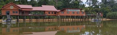 The bukit merah orang utan island (oui) foundation has been conducting behavioral and veterinary research on orangutans as an attempt at ex situ conservation. Journey Into The Wild Bukti Merah Orang Utan Island Lingohut Blog