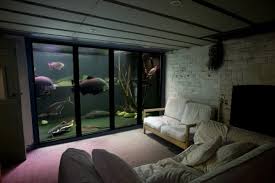 Yes, they are more expensive, but this is where you go from dabbling to the deep end. Video Jack Heathcote S Giant Tropical Aquarium Practical Fishkeeping