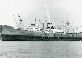 Image result for Tuerkis 1969 Fleet