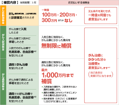 補償内容 Sbi損保のがん保険