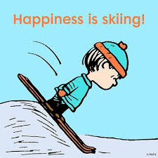 24 Spruche Ski Ideen Skier Skifahren Skiurlaub