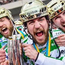Ranking: Så slutar elitserien i bandy 2016/2017