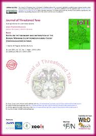 Image result for Ipomoea rubens