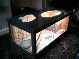 Bearded Dragon Coffee Table Reptile Forums Bearded Dragon Bearded Dragon Care Pet Snake