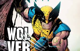 Image result for wolverine