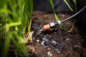 We did not find results for: Quelle Quantite D Eau Pour Arroser Mes Plantes