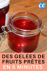 Des Gelees De Fruits Maison Faites En Quelques Minutes Pour 3 Fois Rien Pates De Fruits Maison Recette Gelee Gelee De Fruits
