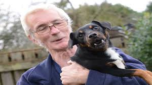 Roy Campbell, from Singleton, lifts Jack Russell Snoop in the air to avoid  bite from approaching dog