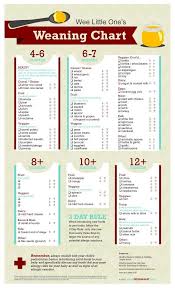 Age Guide To Introducing Solids Malaak Pinterest Baby
