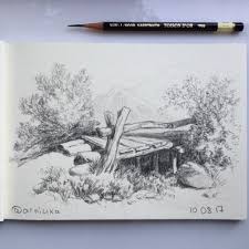 Trandafirul rosu este simbolul dragostei si a pasiunii. PatologicÄƒ PanÄƒ Litoral Peisaje Cu Natura In Creion Justan Net