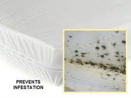 Brickman, the owner of nyc bed bug inspections, are any live insects or black spotting. Zippered Mattress Encasements Covers Waterproof Bed Bug Proof