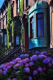 Log In Brooklyn Brownstone Nature Scenery