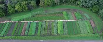 Provided is the usa planting zone map with species of foodplot seeds, which wildlife they attract. 12 Tips To Maximize Food Plot Production Legendary Whitetails Legendary Whitetail S Blog