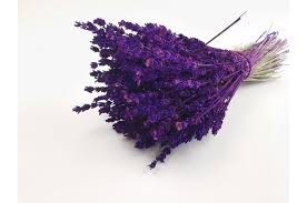 Dried Lavender Purple Bulk Sale Phocealys Wholesale Supplier Professionals