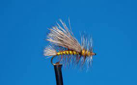 While they're not as different as nymphs, emergers and streamers, there is some solid variety amongst the dry fly community. Confident Dry Fly Fishing For Trout Toflyfish
