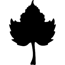 Pin On Stencils