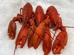 نتیجه جستجوی لغت [lobster] در گوگل