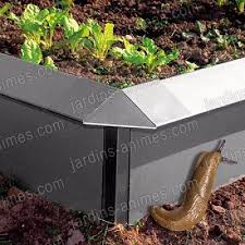 Le bicarbonate de soude pourrait être un moyen efficace et peu coûteux de lutter contre les maladies à composante inflammatoire. Carre Potager Acier Avec Retour Anti Limace Et Anti Escargot Anti Limace Carre Potager Limace
