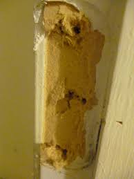 I got bold, pulled it out and found it to be a short wood screw. What Do I Need To Do To Fix Stripped Door Hinge Screw Holes Home Improvement Stack Exchange