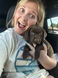 Willow looks so nice in her ALP pink collar 💕