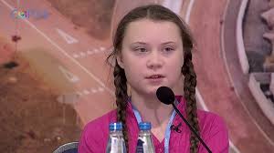Mein zimmer stinkt wie ein klo, das 50 jahre nicht geputzt wurde. Klimaschutz Greta Thunberg Beh E V Bioenergie Heitlingen