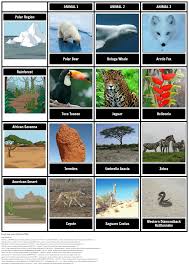 animal habitats adaptation activity