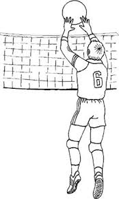 2) click on the coloring page image in the bottom half of the screen to make that frame active. 50 Volleyball Coloring Page Ideas Coloring Pages Online Coloring Pages Online Coloring