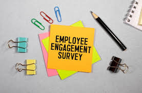 Why Are Employee Surveys Important?
