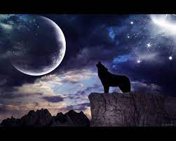 Promise Wolf Howling Wolf Wallpaper Wolf Silhouette