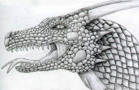 Check spelling or type a new query. Dragon Head Pictures All About Dragon World Dragon Tattoo Design Dragon Drawing Dragon Head Drawing Dragon Head