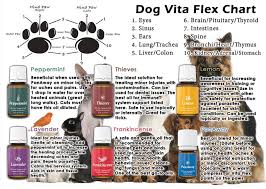 Young Living Essential Oils Vita Flex Chart Best Picture