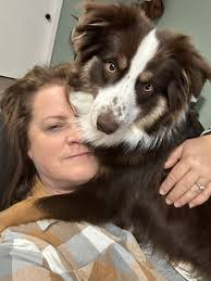 Aussie dogs reacting to specific words or phrases